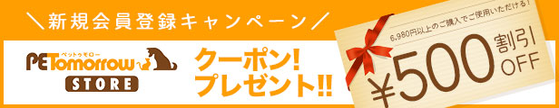新規会員登録キャンペーン